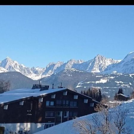 Studio Porte Du Mont Blanc Combloux Aux Pieds Des Pistes Dış mekan fotoğraf
