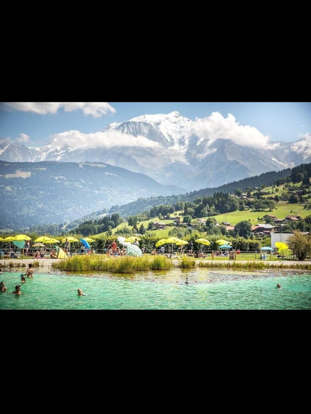 Studio Porte Du Mont Blanc Combloux Aux Pieds Des Pistes Dış mekan fotoğraf